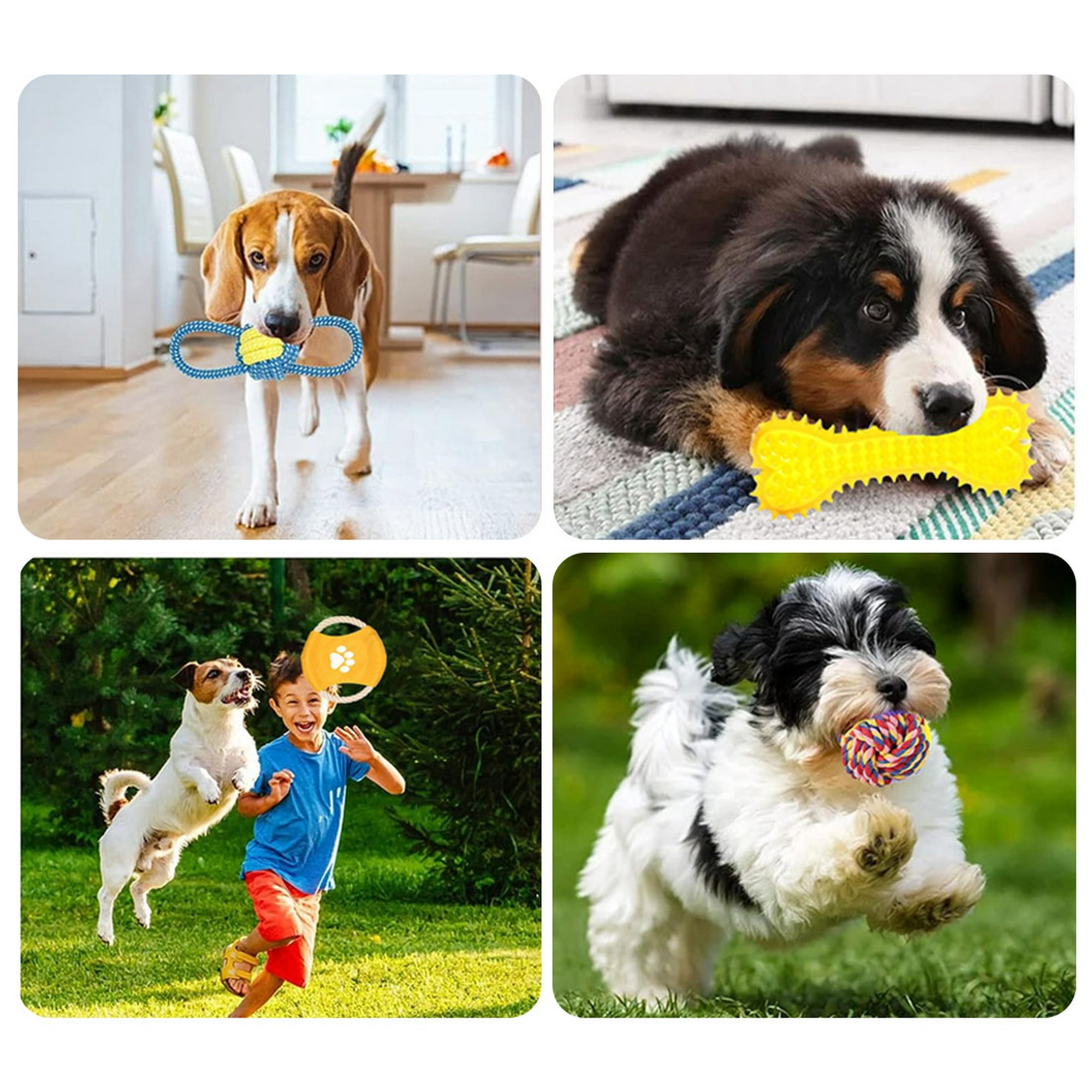 Petimi 18 Piece Dog Toys Set, Dog Chew Toys for Small Dog, Dog Squeaky Toys and Dog Rope Chew Toys