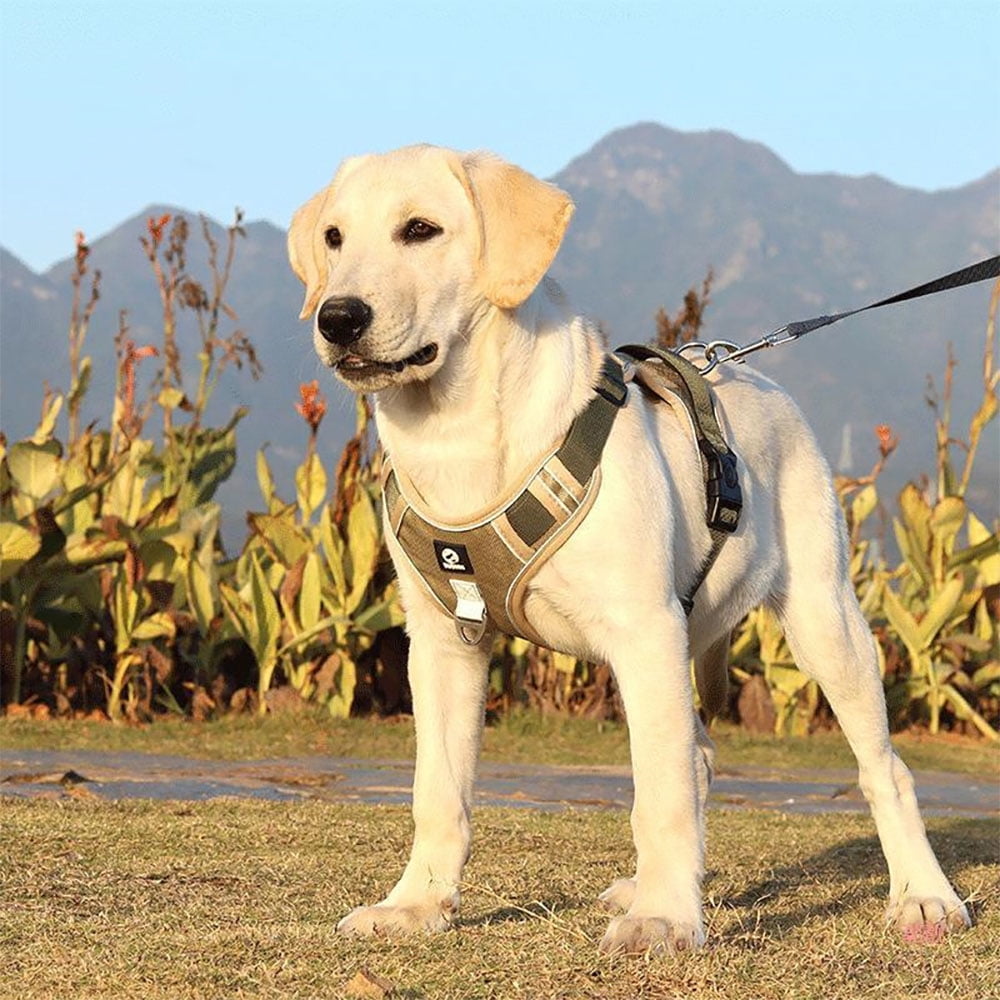 Petimi Dog Harness, No Pull Dog Harness, Adjustable Reflective Dog Harness with Handle for Small to Large Dogs (M)
